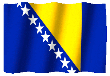 Flag of Bosnia and Herzegovina