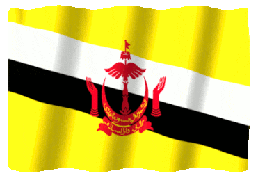 Flag of Brunei