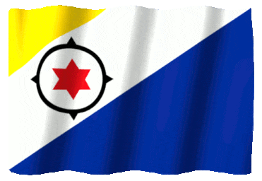 Flag of Caribbean Netherlands