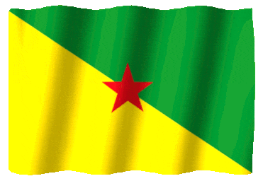 Flag of French Guiana
