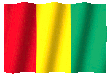 Flag of Guinea