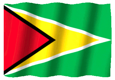 Flag of Guyana