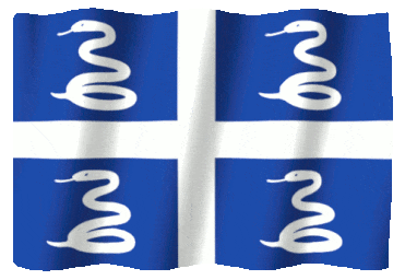 Flag of Martinique