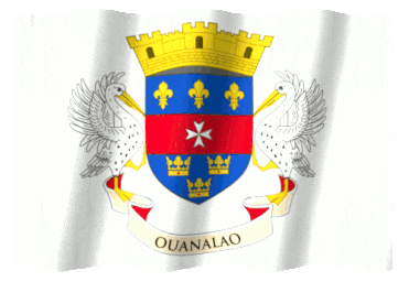 Flag of Saint Barthélemy