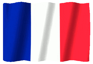 Flag of Saint Martin