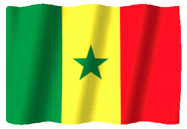 Flag of Senegal