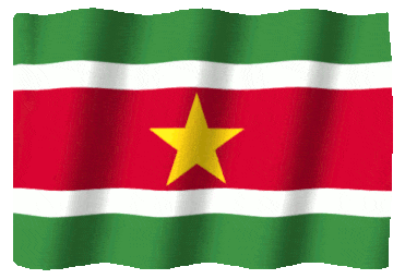 Flag of Suriname