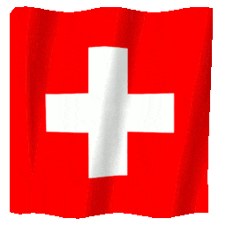 Flag of Switzerland2