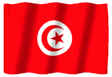 Flag of Tunisia