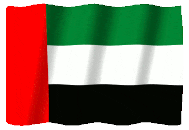 Flag of United Arab Emirates