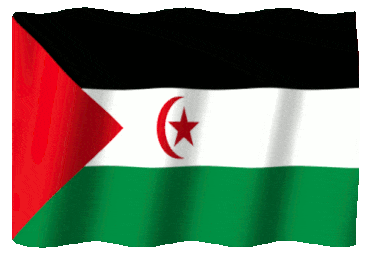 Flag of Western Sahara