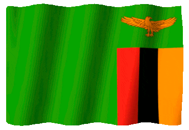 Flag of Zambia
