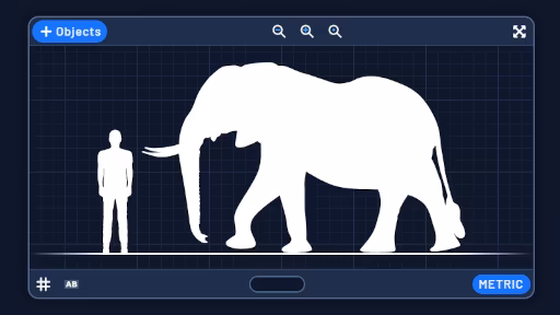 Compare (Size and Shape) - BlenderTimer Web Tool